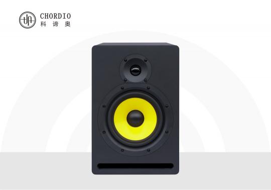 Pure MA6 active professional monitor speakers