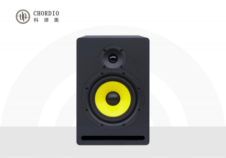 Pure MA6 active professional monitor speakers
